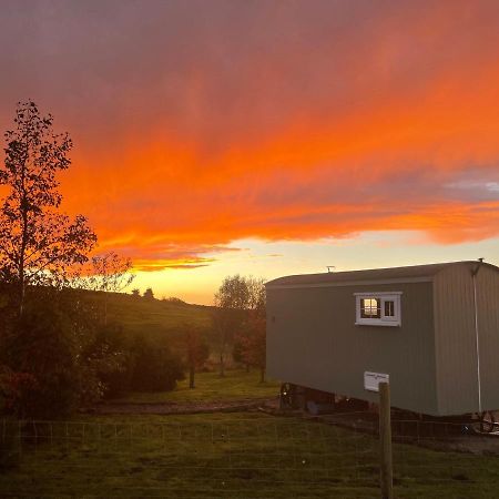 The Buteland Stop Rosie Off Grid Shepherds Hut Bellingham Luaran gambar