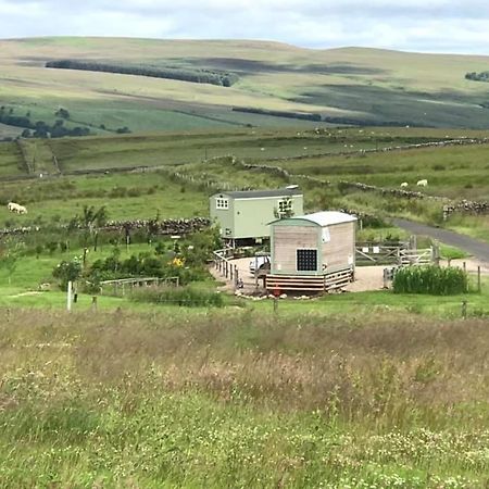 The Buteland Stop Rosie Off Grid Shepherds Hut Bellingham Luaran gambar