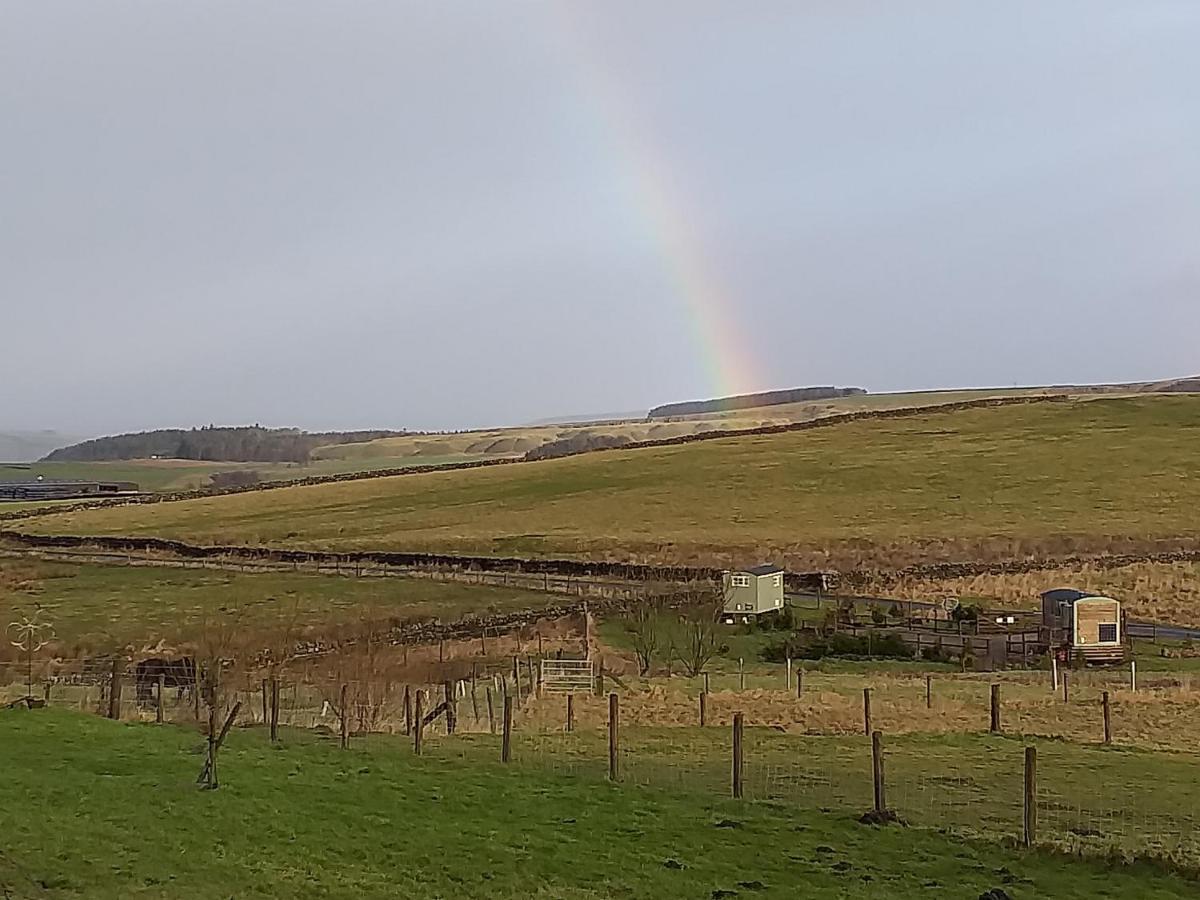 The Buteland Stop Rosie Off Grid Shepherds Hut Bellingham Luaran gambar