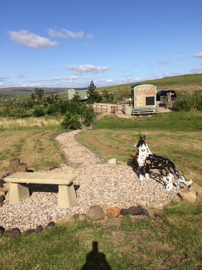 The Buteland Stop Rosie Off Grid Shepherds Hut Bellingham Luaran gambar