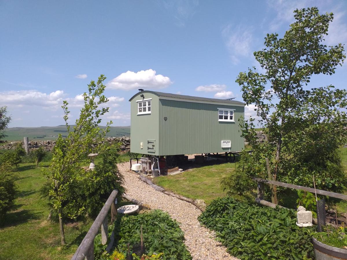 The Buteland Stop Rosie Off Grid Shepherds Hut Bellingham Luaran gambar