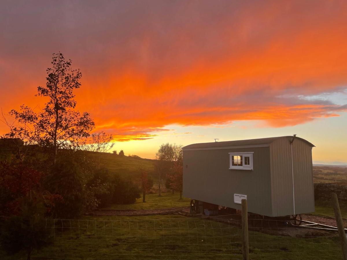 The Buteland Stop Rosie Off Grid Shepherds Hut Bellingham Luaran gambar