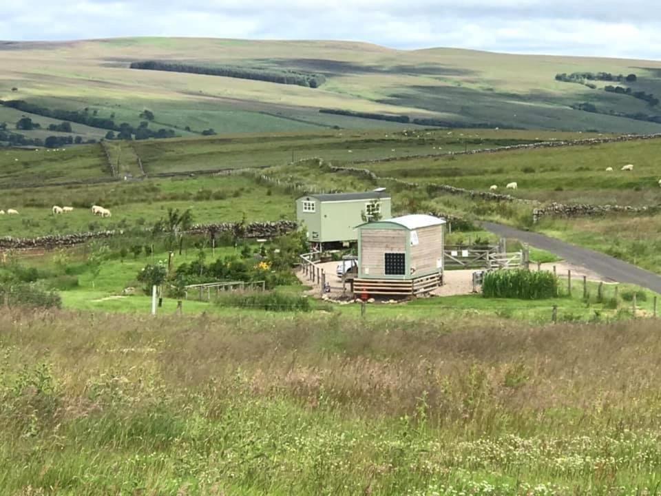 The Buteland Stop Rosie Off Grid Shepherds Hut Bellingham Luaran gambar