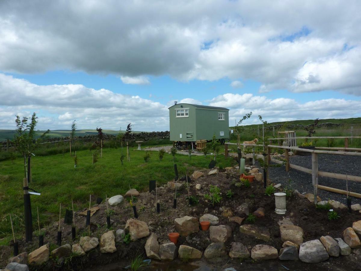 The Buteland Stop Rosie Off Grid Shepherds Hut Bellingham Luaran gambar