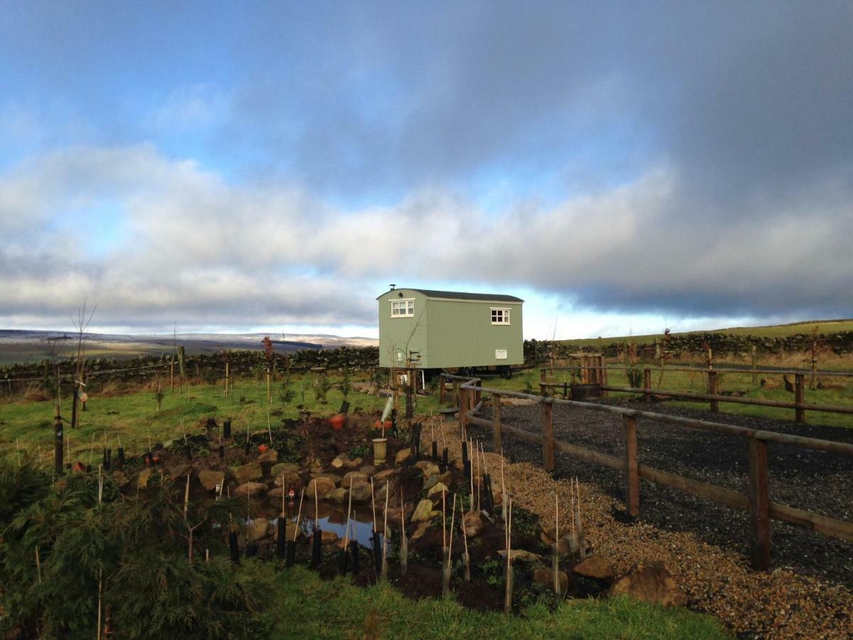 The Buteland Stop Rosie Off Grid Shepherds Hut Bellingham Luaran gambar