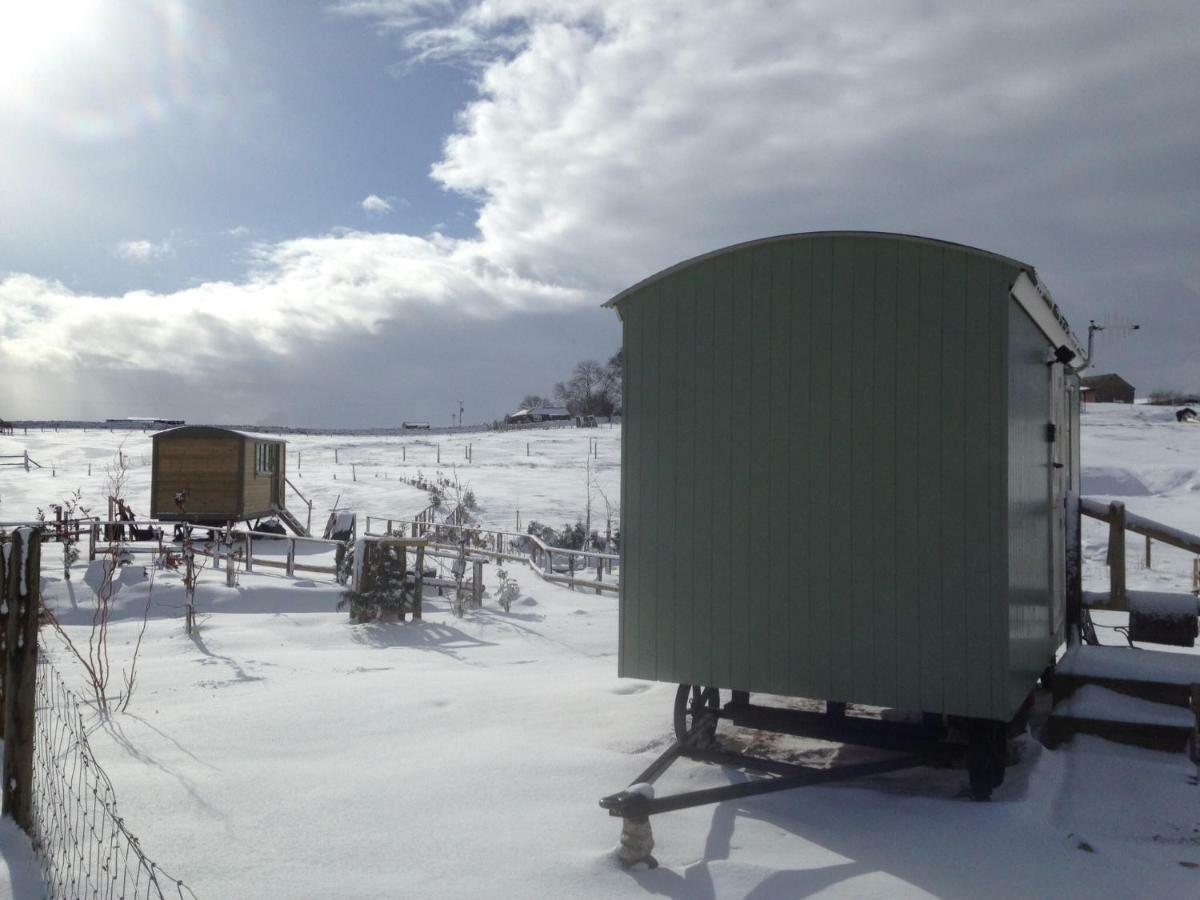 The Buteland Stop Rosie Off Grid Shepherds Hut Bellingham Luaran gambar