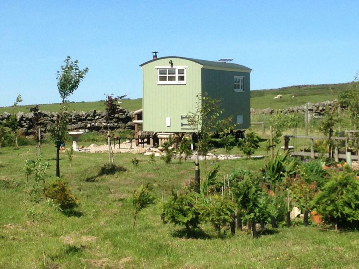 The Buteland Stop Rosie Off Grid Shepherds Hut Bellingham Luaran gambar