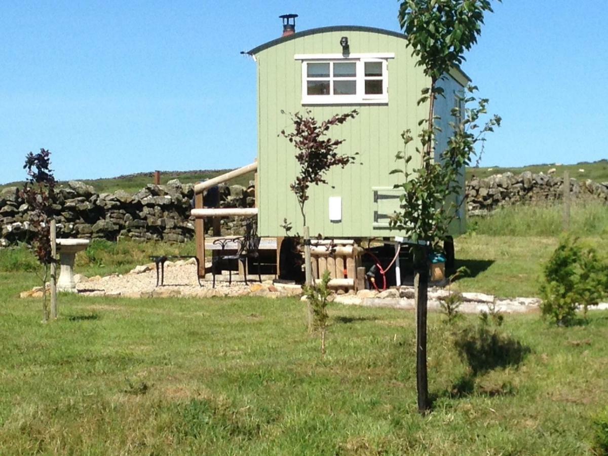 The Buteland Stop Rosie Off Grid Shepherds Hut Bellingham Luaran gambar